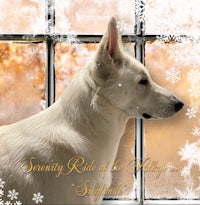 a white dog standing in front of a window