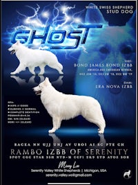 a flyer for a dog show with a white dog and a blue background