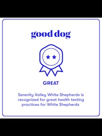 good dog great serenity whitesheep