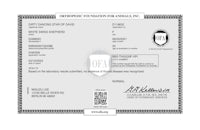 a certificate of approval for a company