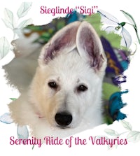 a white dog with the words serenity ride of the valories