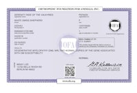 a certificate for the orthopedic foundation for animals, inc