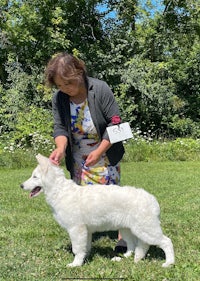 a woman is petting a white dog in the grass