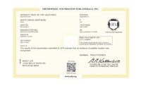 a certificate with the name of oc animal inc