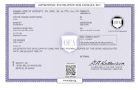 an oaa certificate is shown on a white background