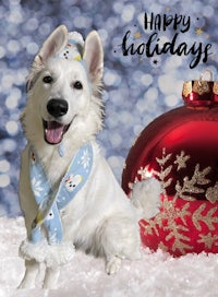 a white dog wearing a hat and scarf in front of a christmas ornament