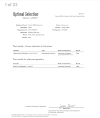 a document with the word'optimal selector' on it