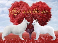 two white dogs standing in front of a heart shaped tree with the words love is in the air