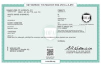 an oaa certificate with the logo of oaa