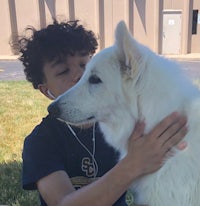 a young boy is petting a white dog