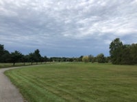 a grassy field with trees and a cloudy sky