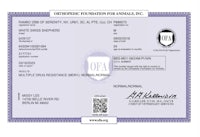 a certificate for the opa foundation for animals, inc