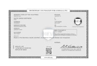 a certificate for the opa foundation for animals, llc