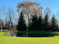 a pond in the middle of a grassy field