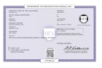 a certificate for the oap foundation for animals, inc